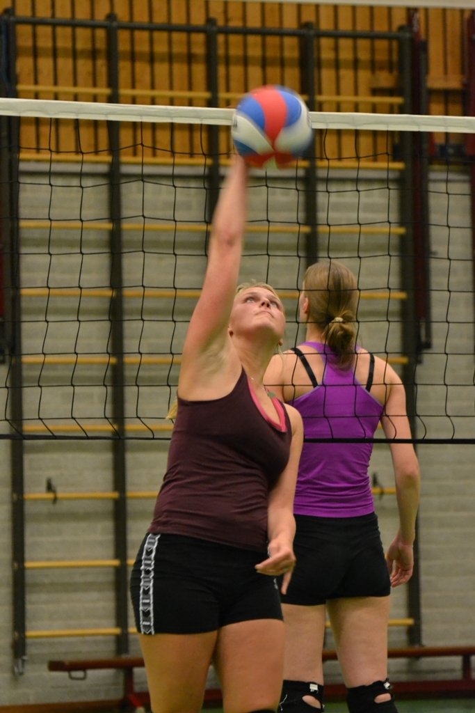 volleybalmeiden training 2013 033